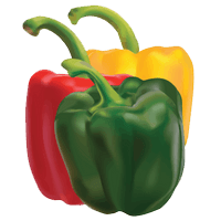Poivrons