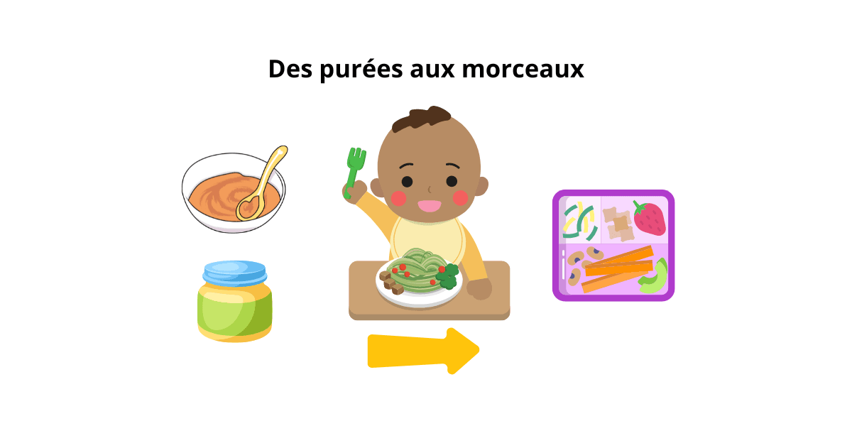Schéma diversification alimentaire chez l'enfant