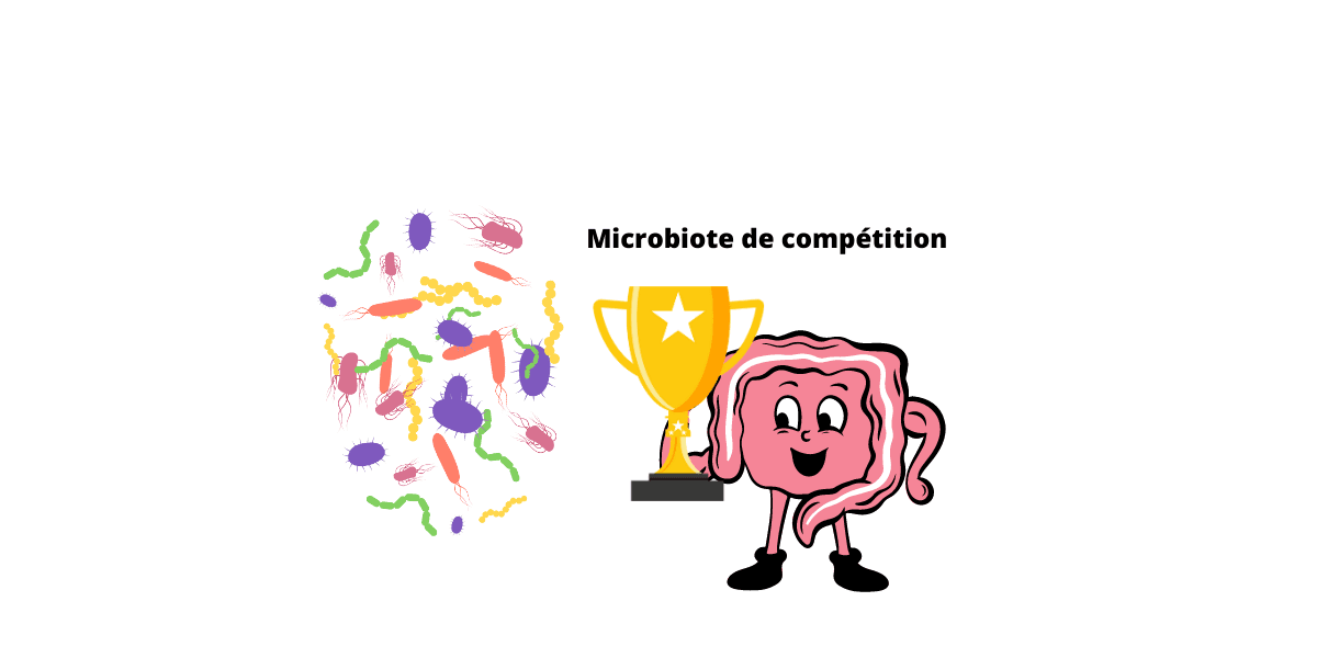 Dessin Microbiote intestinal