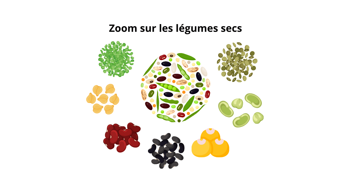 Dessins de légumes secs